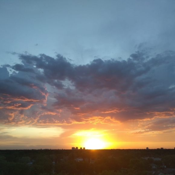 Meet your Posher, Dianne - Picture 1 of 1